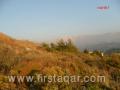 Land reveal the Al Tripoli and denniyeh, the land is flat and suitable for building