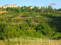 Land in the area bekaasfrine overlooking assoun