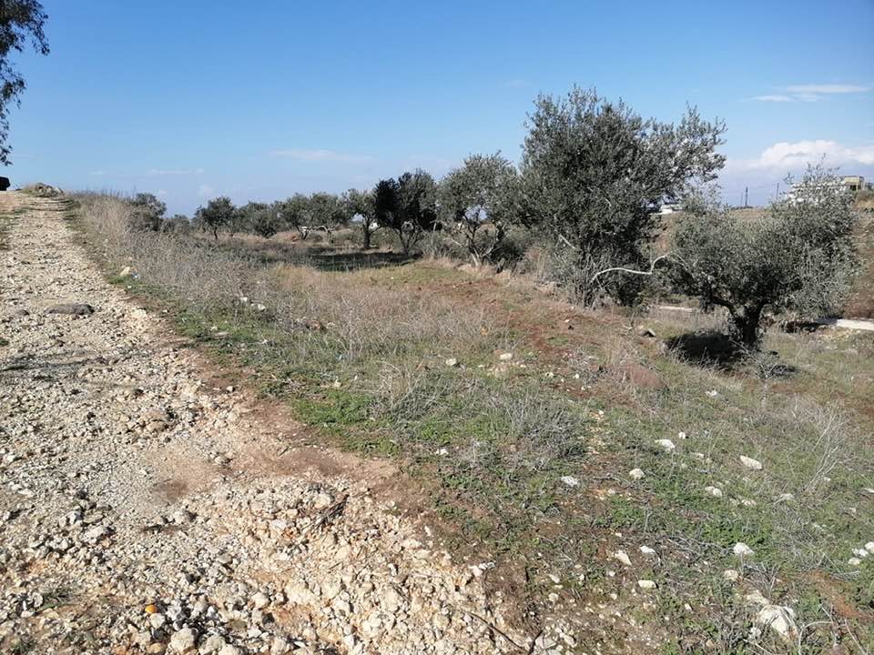 أرض للبيع في البيرة – عكار | موقع مميز
